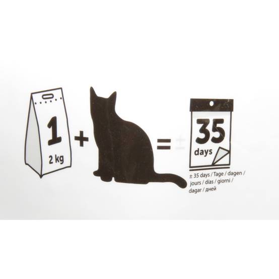 Litière silica granules large 5 litres litière pour chat - Image 3