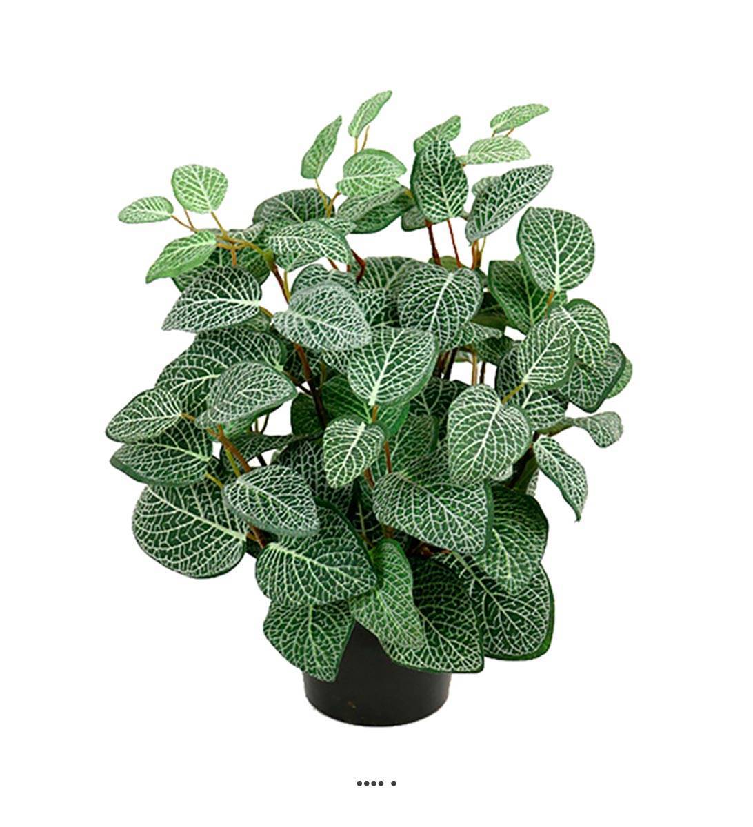 Artificielles - Fitonnia artificiel en pot H 34 cm, D 26 cm Vert-Blanc