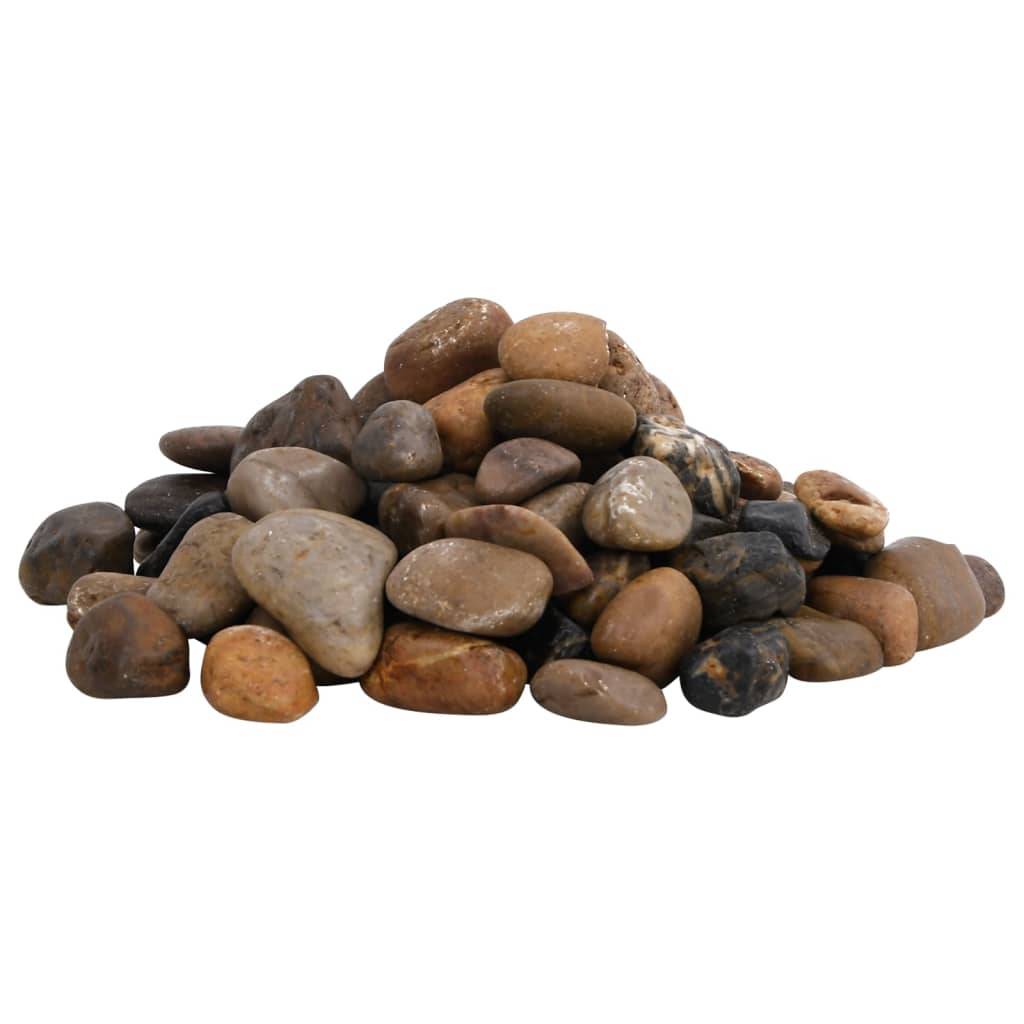 Vidaxl - Galets polis 25 kg multicolores 2-5 cm vidaXL 155332 - Image 2