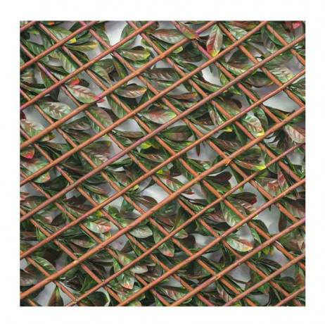James Grass - France Green - Treillis extensible feuillage photinia, Long 20 m, Hauteur 1 m - Imagen 2