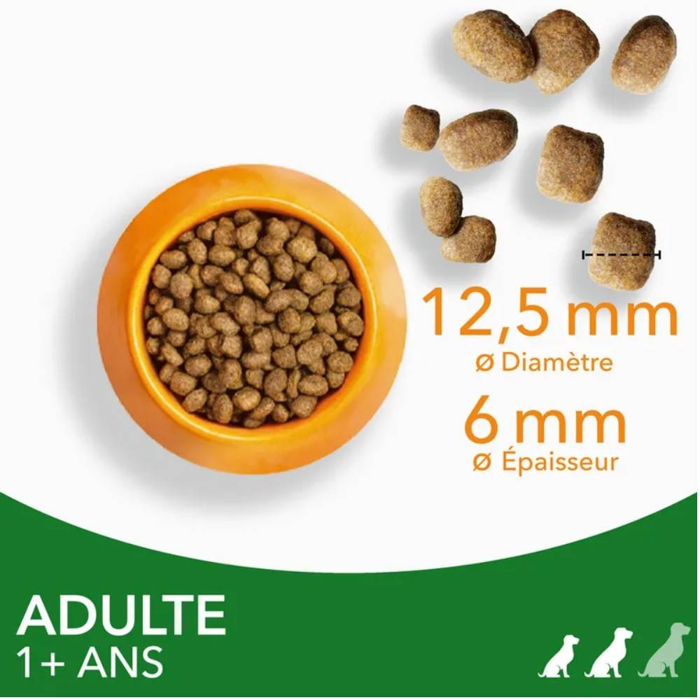 Iams Chien Adulte S/M Agneau 3 kg - Image 4