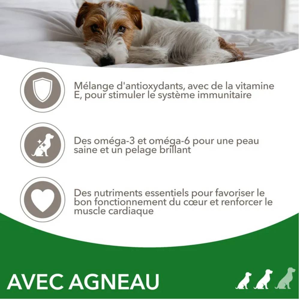 Iams Chien Adulte S/M Agneau 3 kg - Image 3