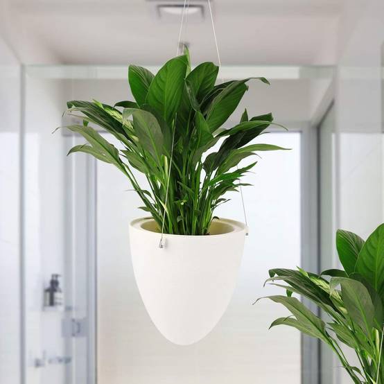 Lot de 2 pots suspendus auto-arrosants - Ø19 cm - Décoration murale intérieur/extérieur - Living123 - Image 1