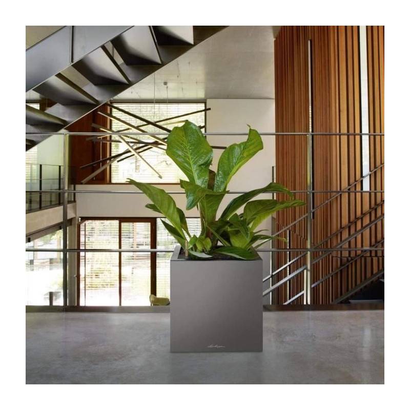 Lechuza - Pot De Fleur Lechuza Canto Premium Cube 40 - Kit Complet, Anthracite Métallique - Imagen 5