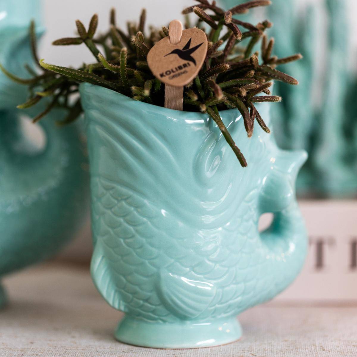 Pot Décoratif Fish Turquoise- La Green Touch - Image 2