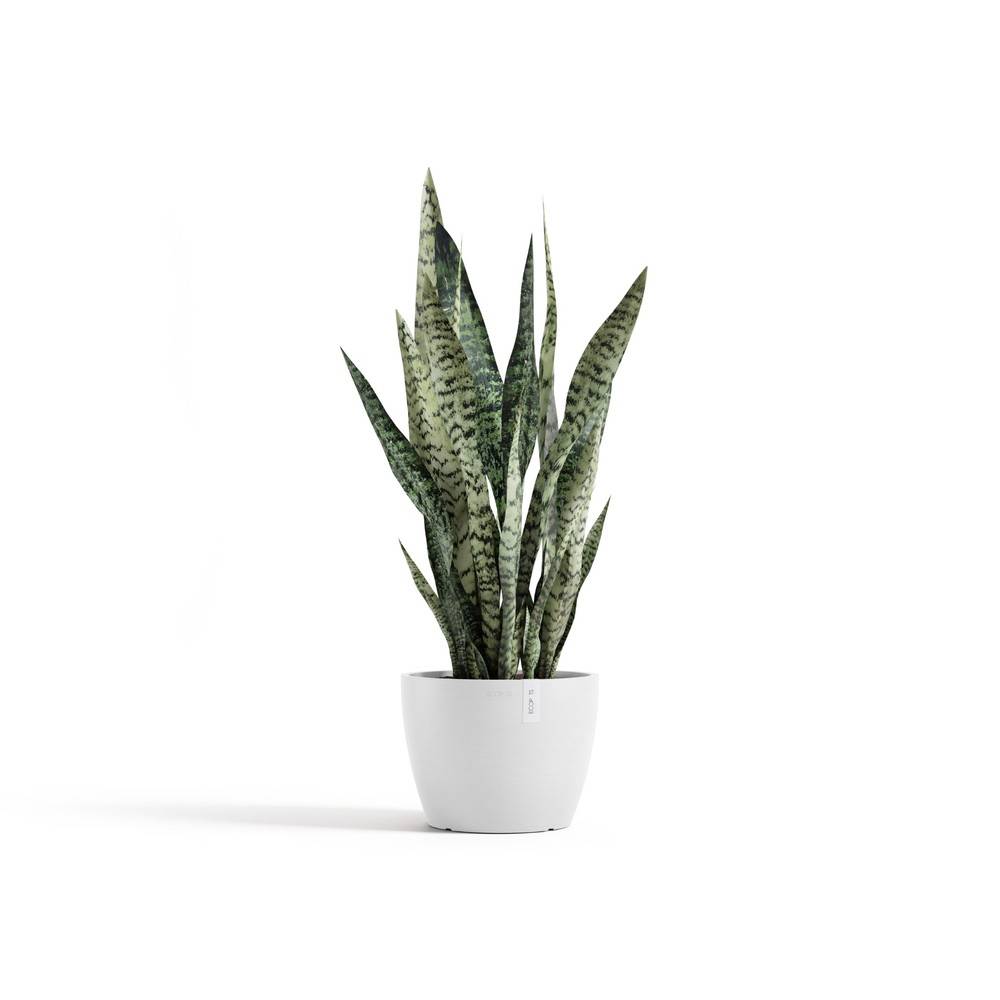 Ecopots - Pot Stockholm 24 Pure White ECOPOTS - Imagen 2