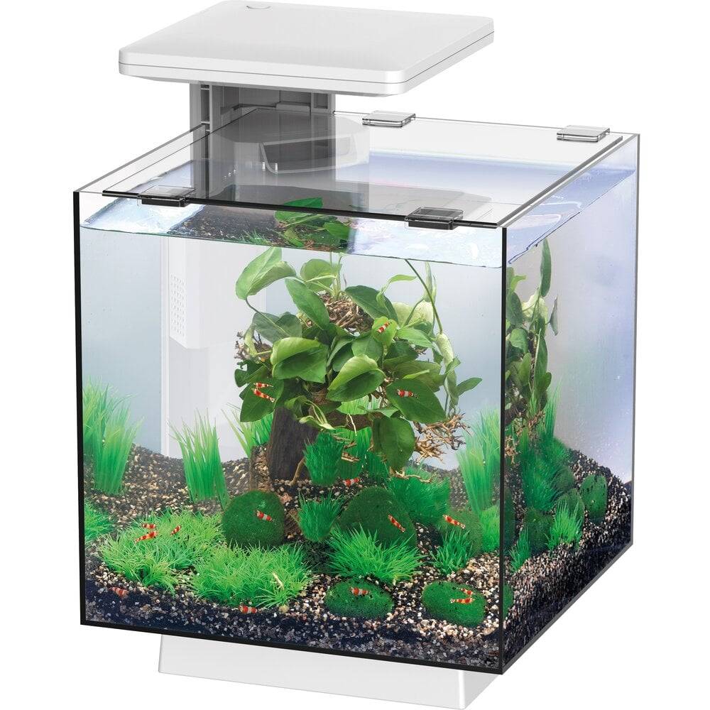 Superfish - Aquarium QubiQ 15 LED Blanc 26,5 x 26,5 x 35 cm - SUPERFISH