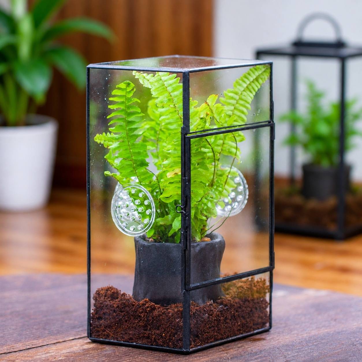 Terrarium Rectangulaire Vertical Porte Latérale et Trois Évents pour Grandes Araignées - Image 6