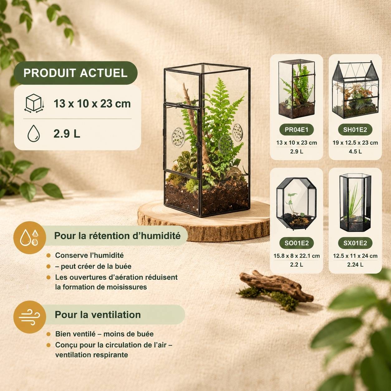 Terrarium Rectangulaire Vertical Porte Latérale et Trois Évents pour Grandes Araignées - Image 5