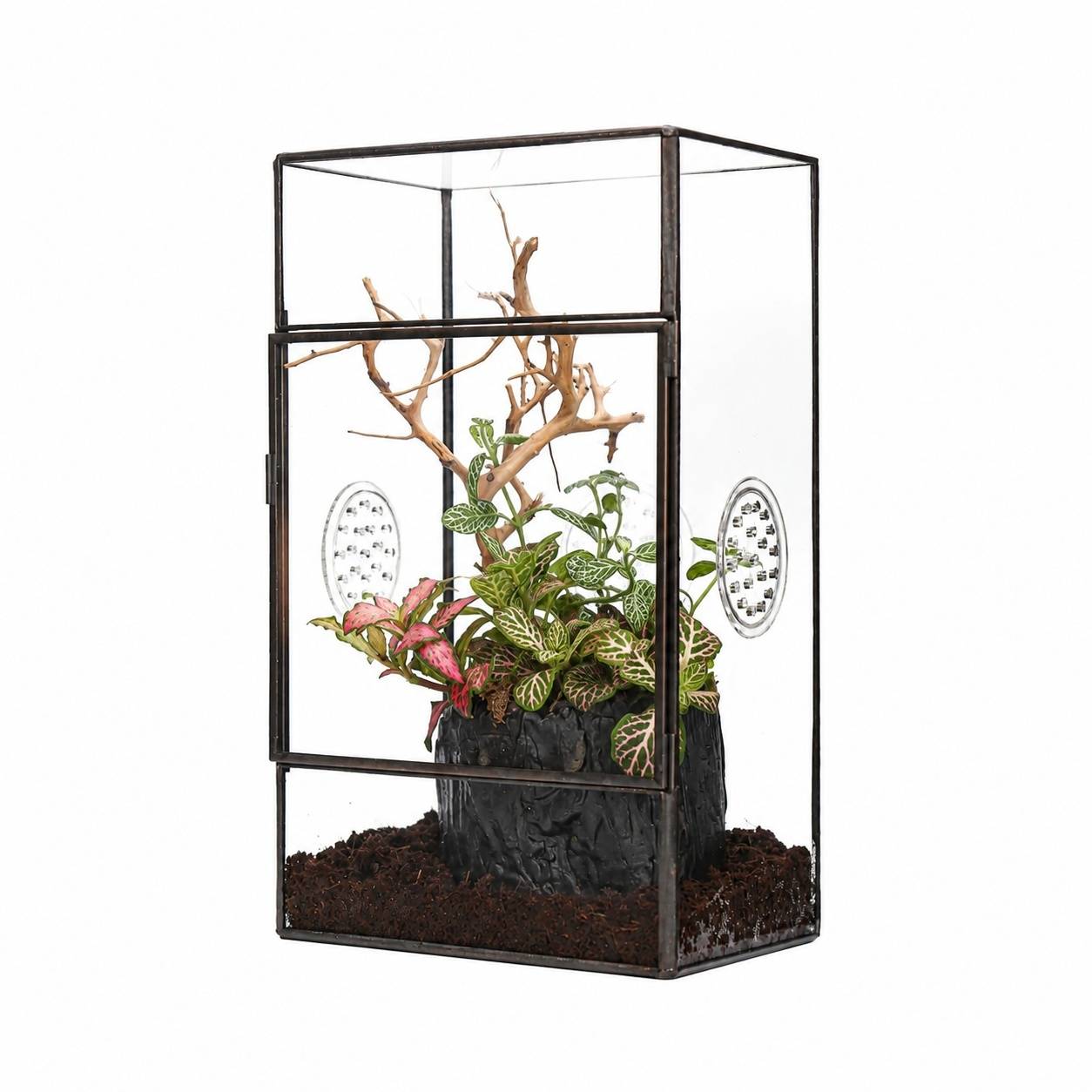 Terrarium Rectangulaire Vertical Porte Latérale et Trois Évents pour Grandes Araignées