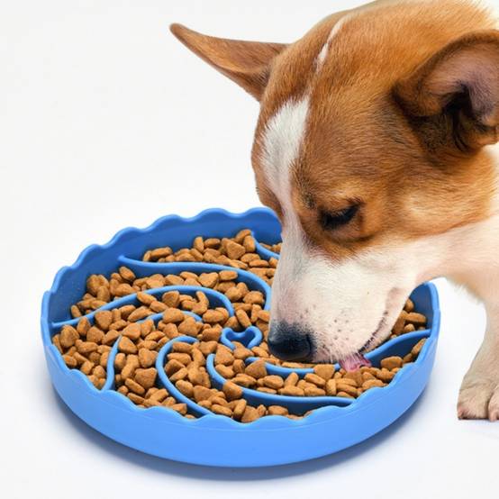 IntiMeg - Bol anti-glouton en silicone pour chien Bleu IntiMeg - Image 3
