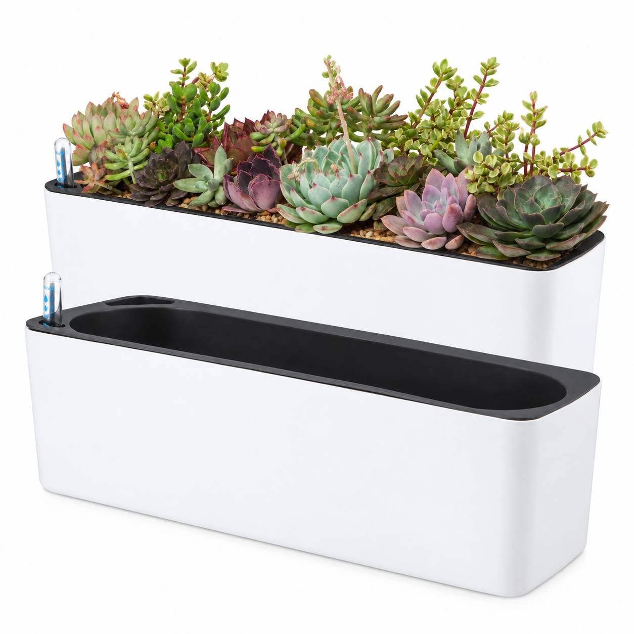 Pot Auto-Arosant Rectangulaire avec Indicateur de Niveau dEau pour Plantes dIntérieur