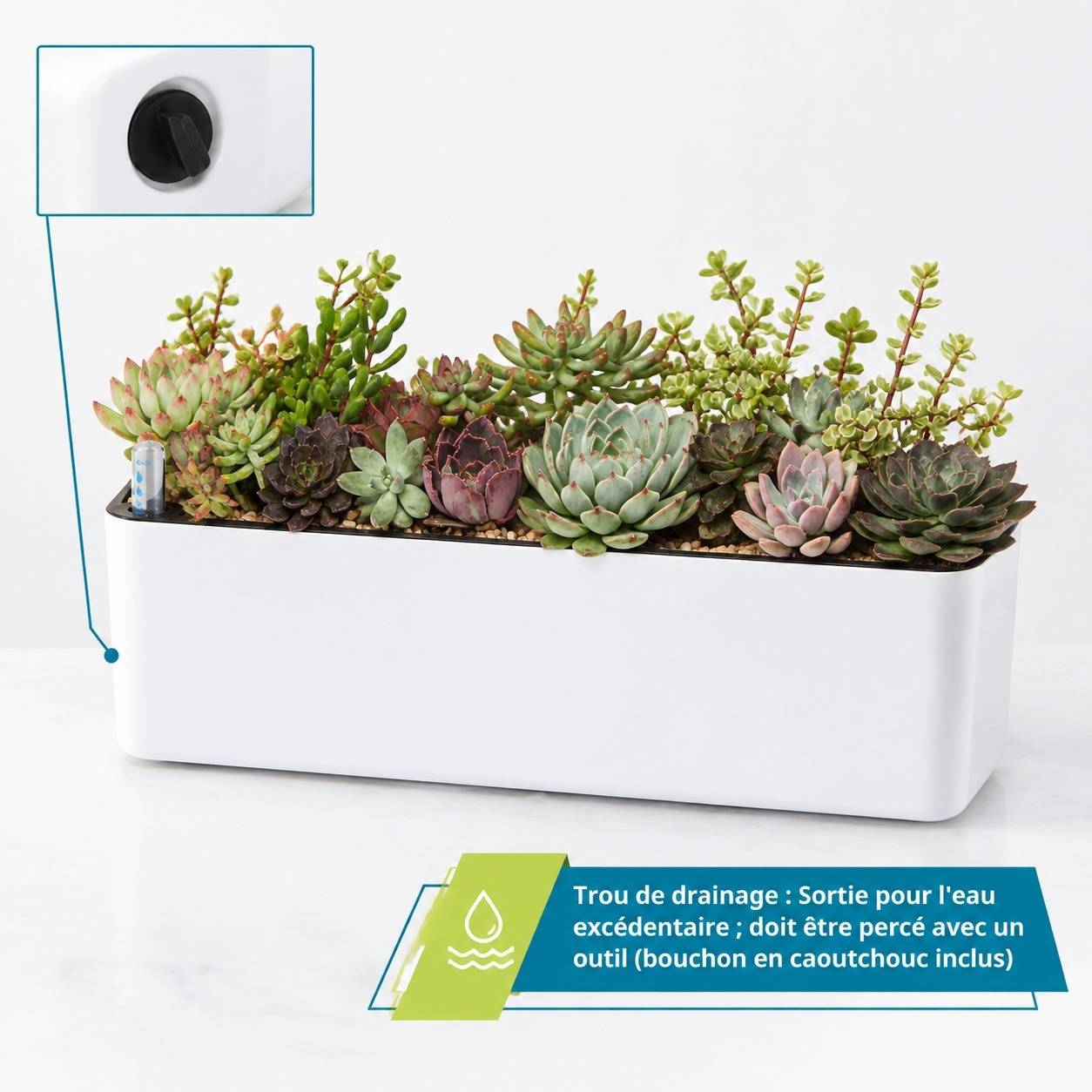 Pot Auto-Arosant Rectangulaire avec Indicateur de Niveau dEau pour Plantes dIntérieur - Image 5