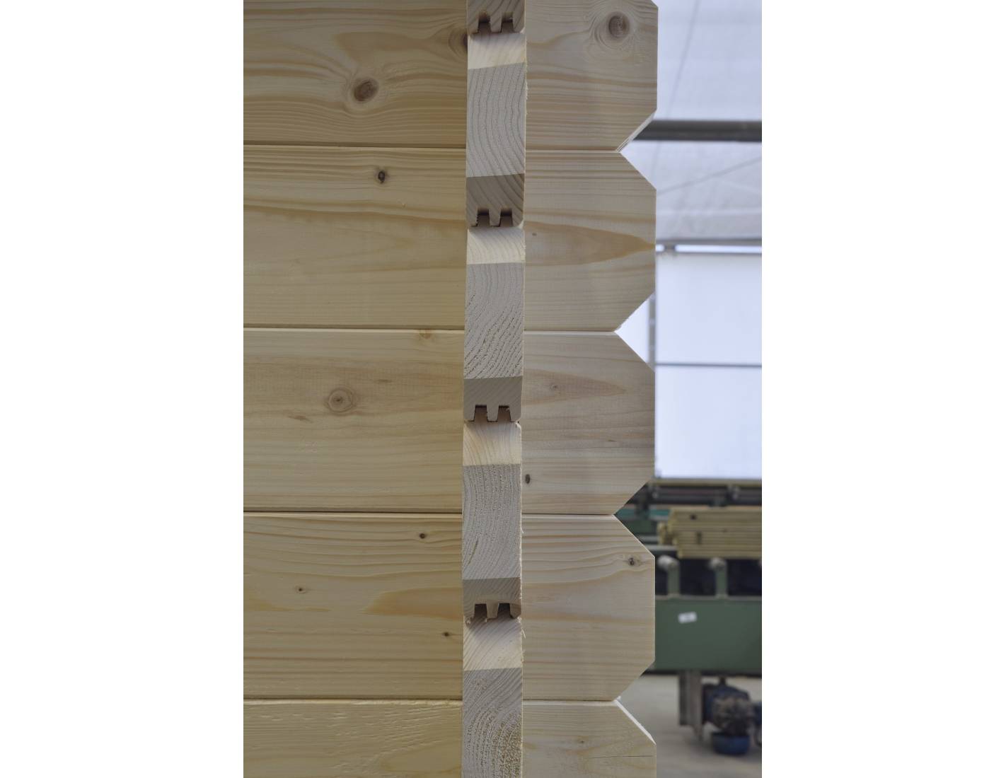 Altanka - Abri de jardin bois 30 m² 6×5 m madriers 40 mm avec double porte et toiture double pente – Altanka - Imagen 6