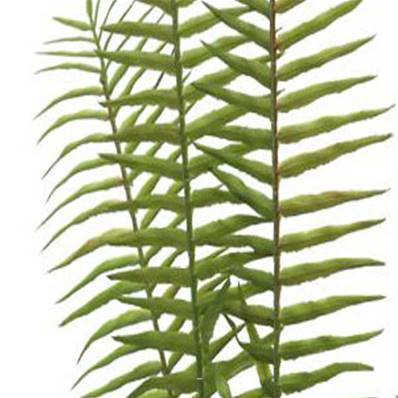 Artificielles - Branche factice fougère des bois H85cm feuilles PE anti-UV - BEST - Imagen 3