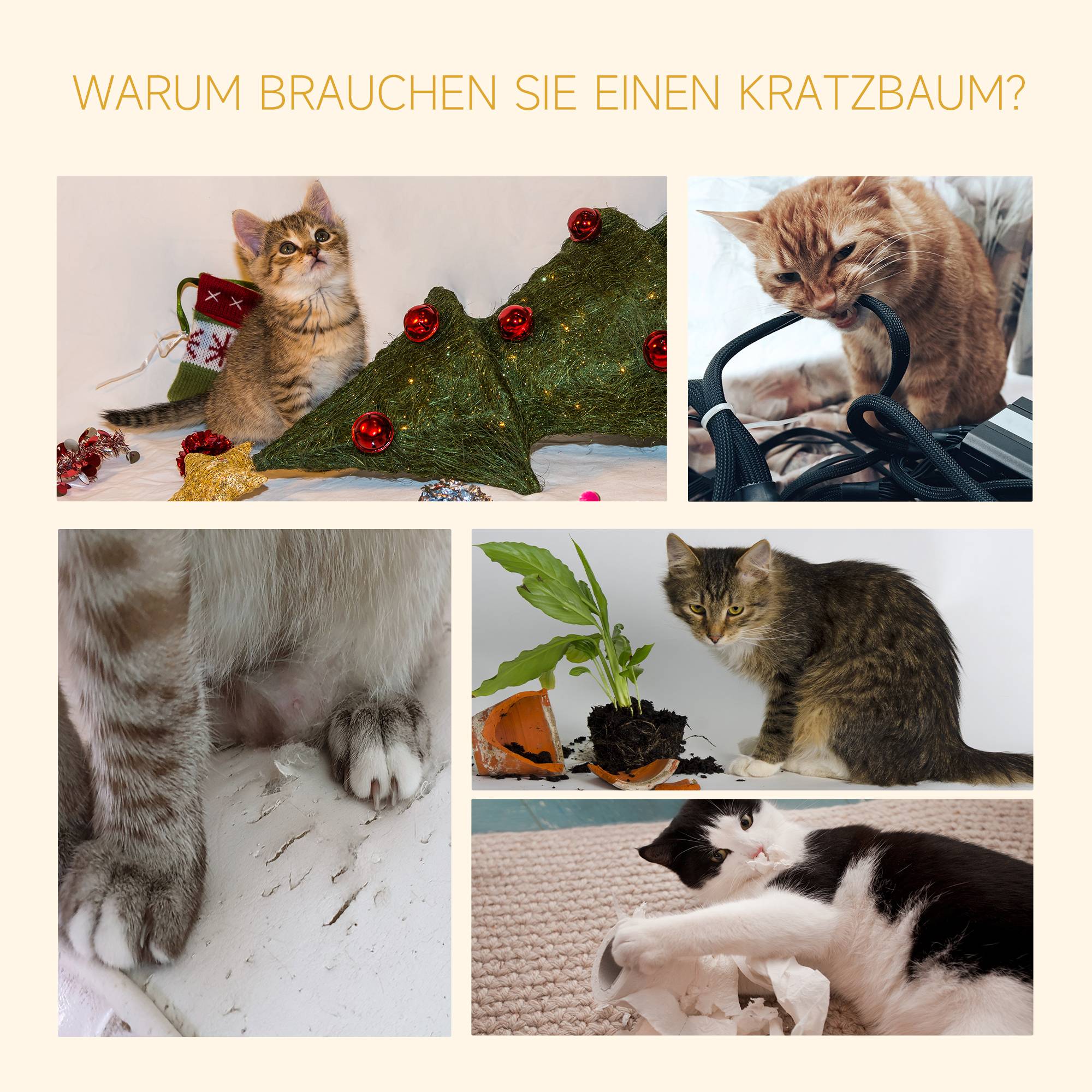 Arbre à chat PawHut jusqu'au plafond, 230-260 cm, poteaux sisal et plateformes, marron - Image 9