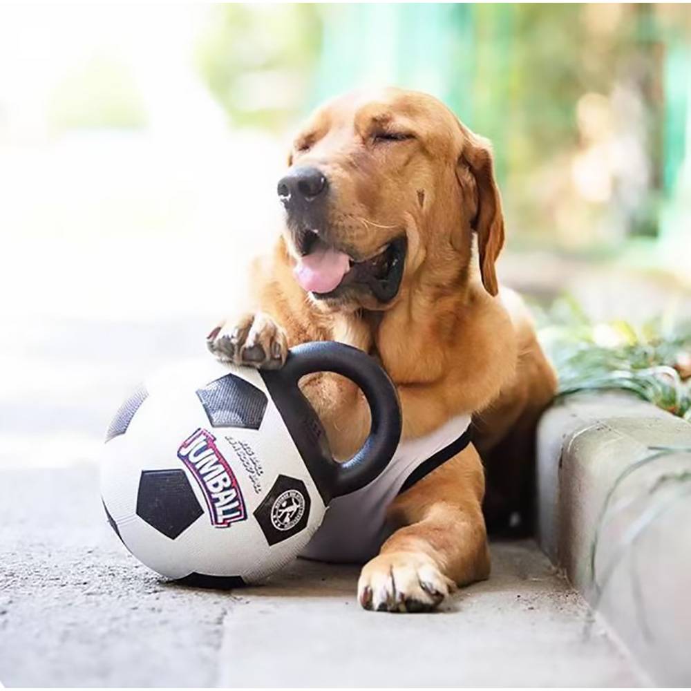 Dare Win Store - Jouet pour chien en caoutchouc - Imagen 2