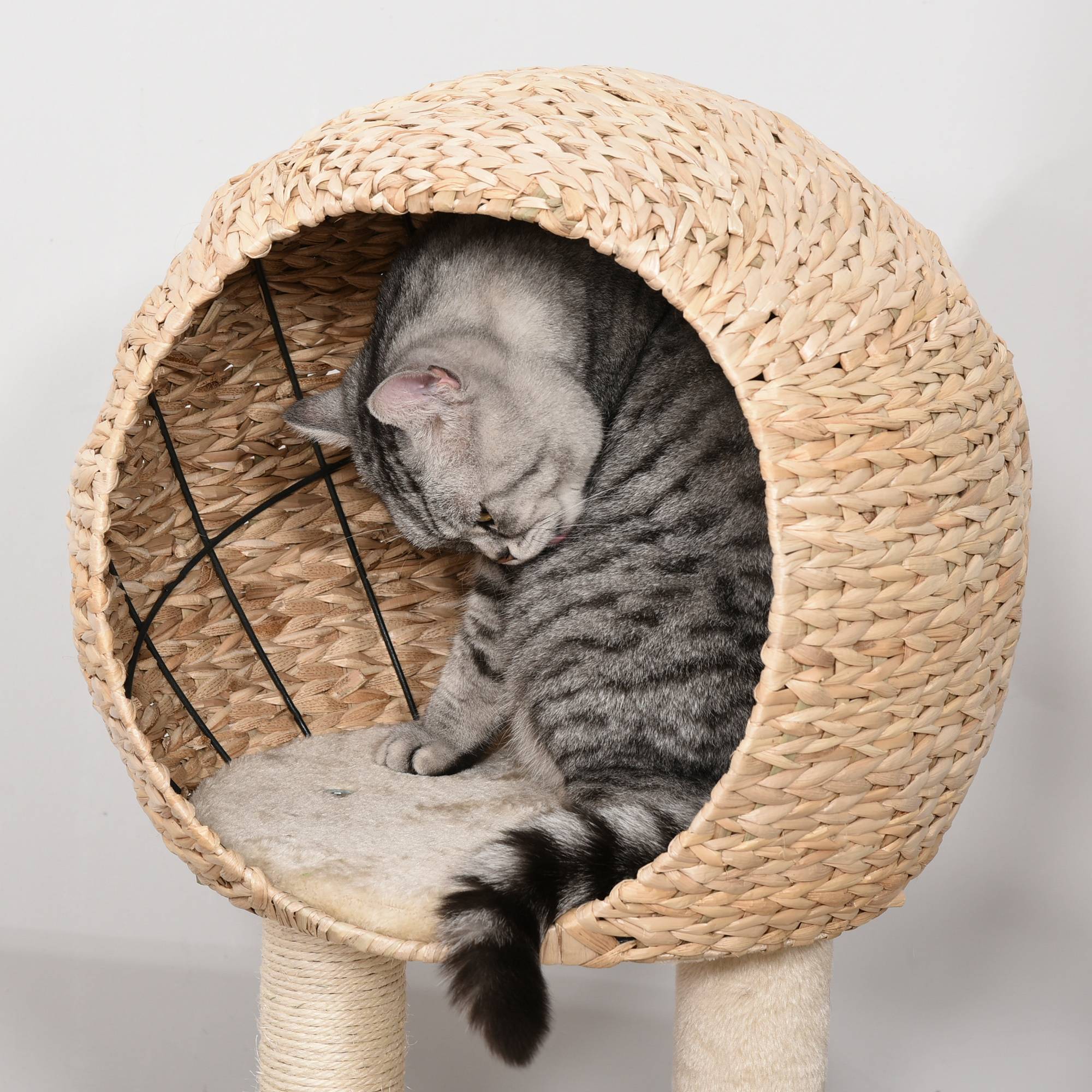 Pawhut - Arbre à chats style cosy chic griffoir sisal naturel grande niche plateformes jeu boule corde escalade peluche courte massette beige - Imagen 7