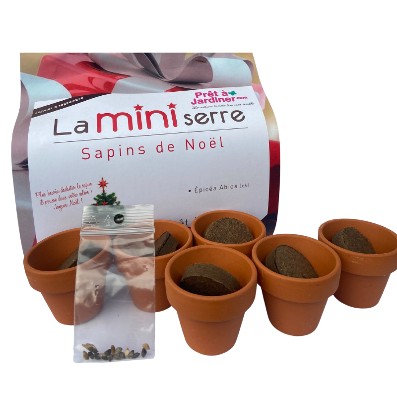 Autre - Mini serre 6 pots sapins de Noël - Prêt à Jardiner - Imagen 2