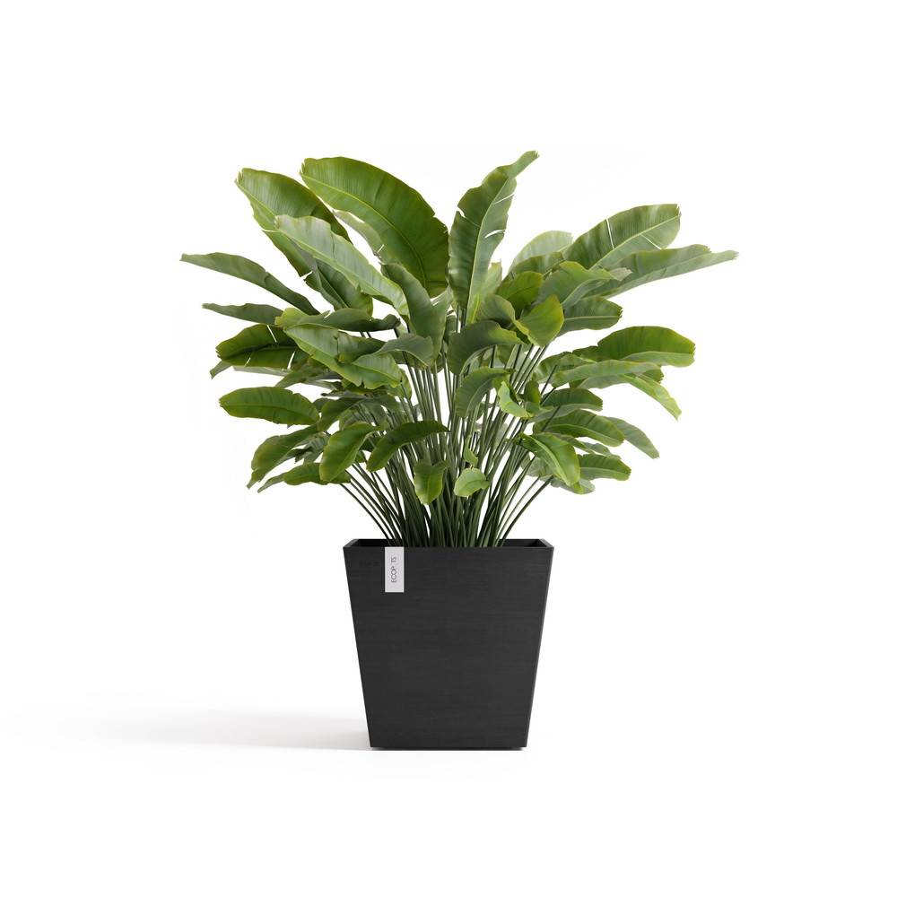 Ecopots - Pot Carré Rotterdam 45 Gris Foncé + réservoir d'eau - 45,4 x 45,4 x H. 44 cm - 63,5 L ECOPOTS - Imagen 1