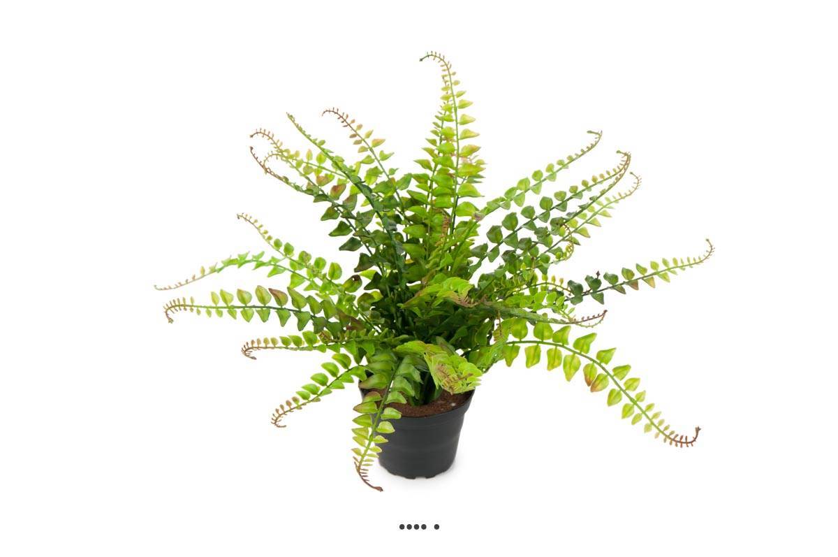 Artificielles - Fougère Blechnum spicant artificielle en pot, H 30 cm, D 35 cm - Imagen 1