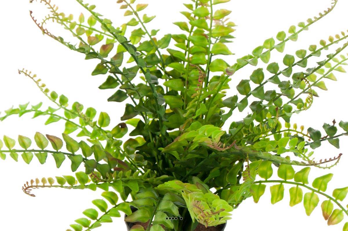 Artificielles - Fougère Blechnum spicant artificielle en pot, H 30 cm, D 35 cm - Imagen 3