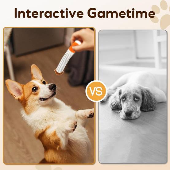 Cigarette Grinante pour Chien - Jouet Amusant et Rsistant-Living123 - Jardiland Cigarette Grinante pour Chien - Jouet Amusant et Rsistant-Living123 - Jardiland