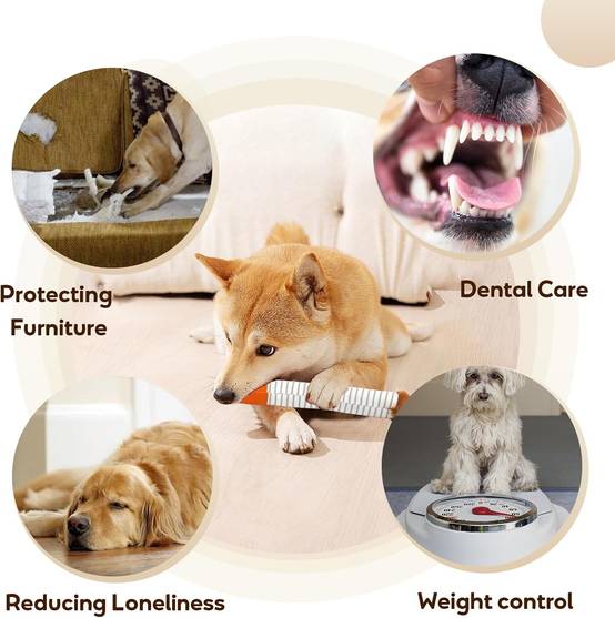 Cigarette Grinante pour Chien - Jouet Amusant et Rsistant-Living123 - Jardiland Cigarette Grinante pour Chien - Jouet Amusant et Rsistant-Living123 - Jardiland