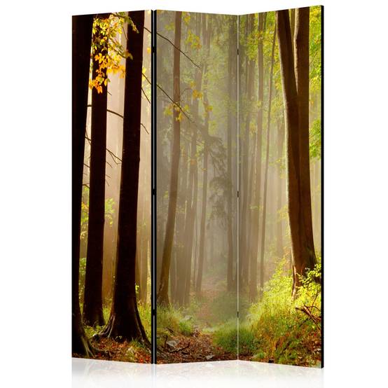 Paravent 3 Volets "Mysterious Forest Path" 135x172cm - Image 1
