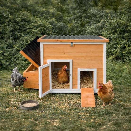 Poulailler Hefa+ avec enclos intégré 200x115x75cm - Jusqu'à 6 poules - Image 2
