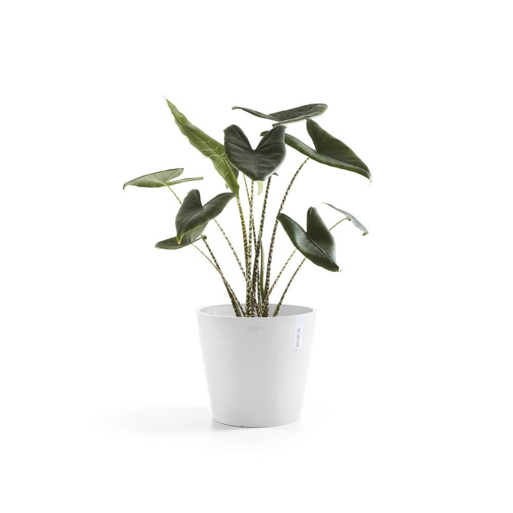 Ecopots - Pot Rond Amsterdam 40 Blanc Pur - Ø 40 x H. 35 cm - 28 L ECOPOTS - Imagen 2