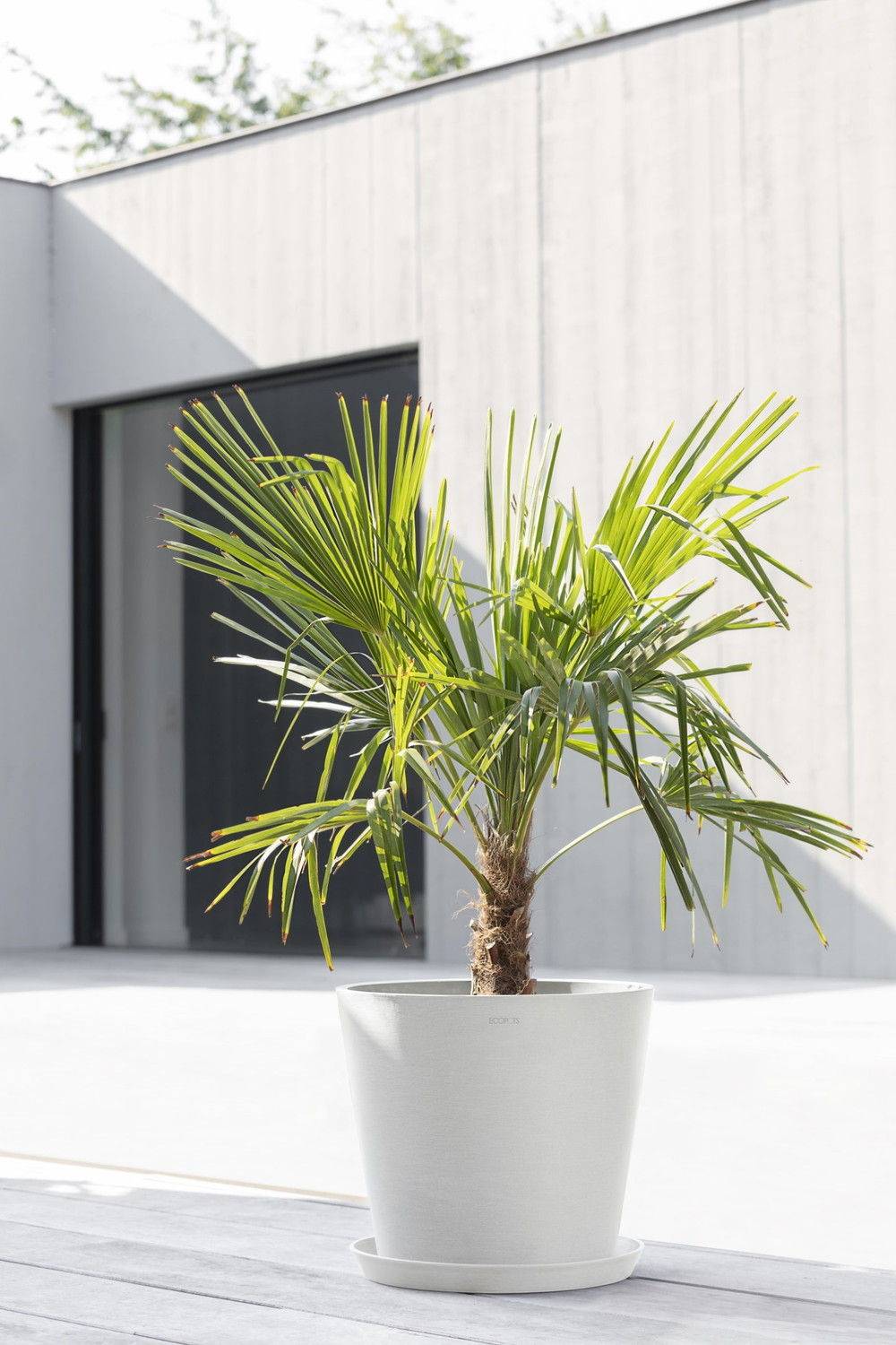 Ecopots - Pot Rond Amsterdam 40 Blanc Pur - Ø 40 x H. 35 cm - 28 L ECOPOTS - Imagen 4