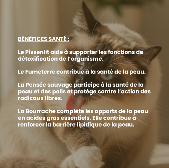 Complément alimentaire vétérinaire - Peau & Poils chat 50 mL - VetyVert - Image 4