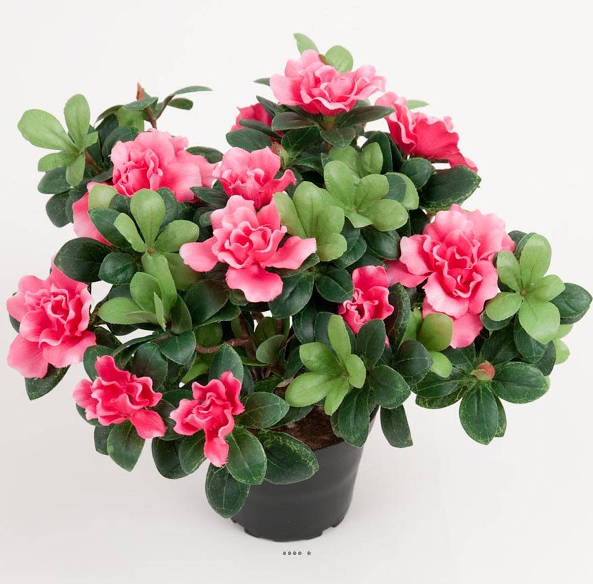 Artificielles - Azalee artificielle en pot H 25 cm D 30 cm qualité top Rose fushia - couleur: Rose fushia 730