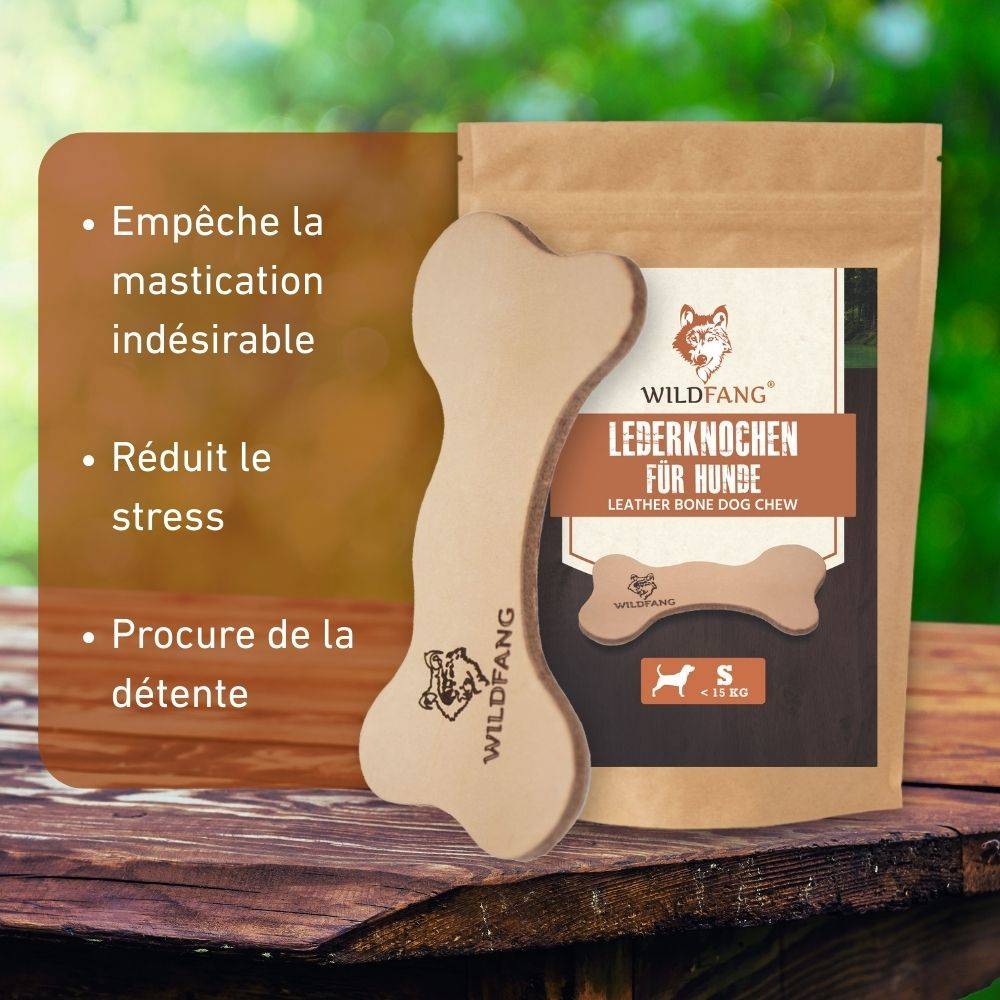 Wildfang - Pack chiot « Bienvenue jeune compagnon » - petites races de chiens jusqu'à 10 kg - Image 7