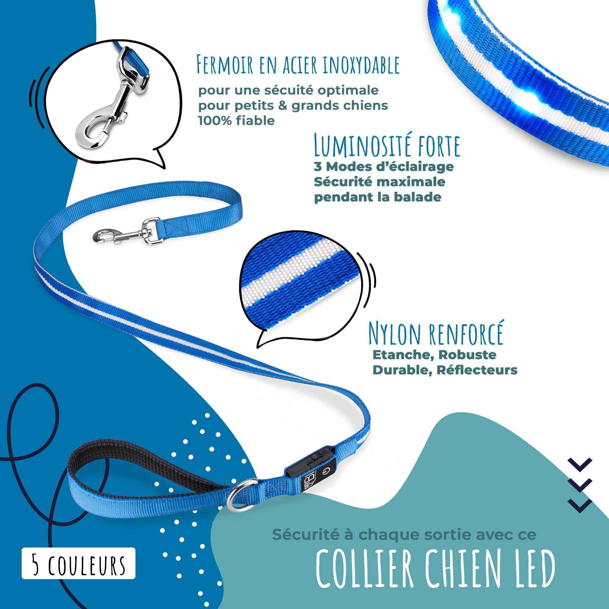 Bi International - Collier et Laisse Lumineux pour Chien - Rechargeable par USB - Haute Qualité, Stabilité & Sécurité (vert, XS) - BI International - Imagen 2