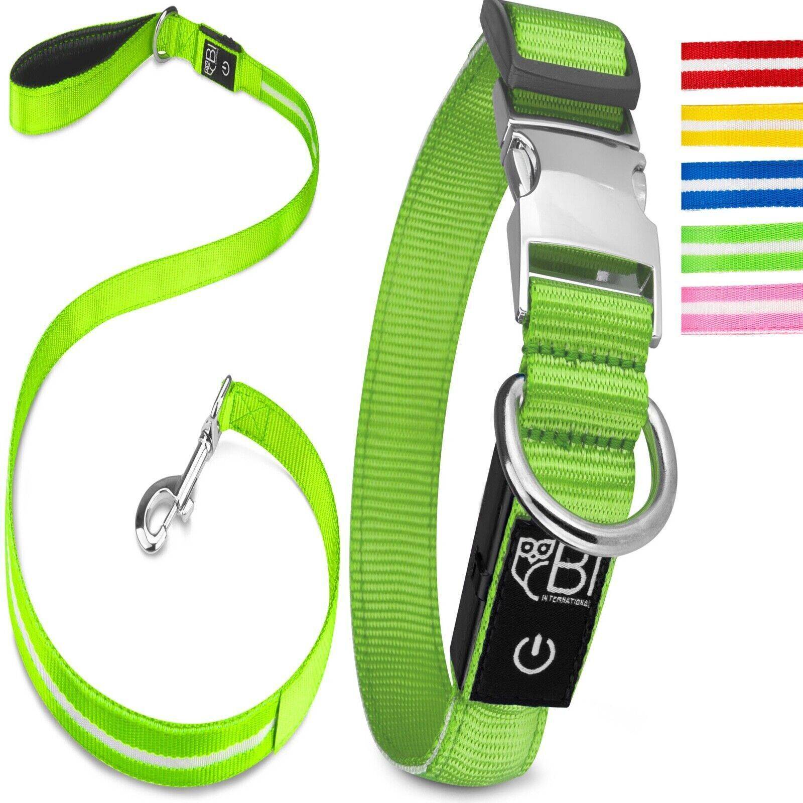 Bi International - Collier et Laisse Lumineux pour Chien - Rechargeable par USB - Haute Qualité, Stabilité & Sécurité (vert, XS) - BI International - Imagen 1