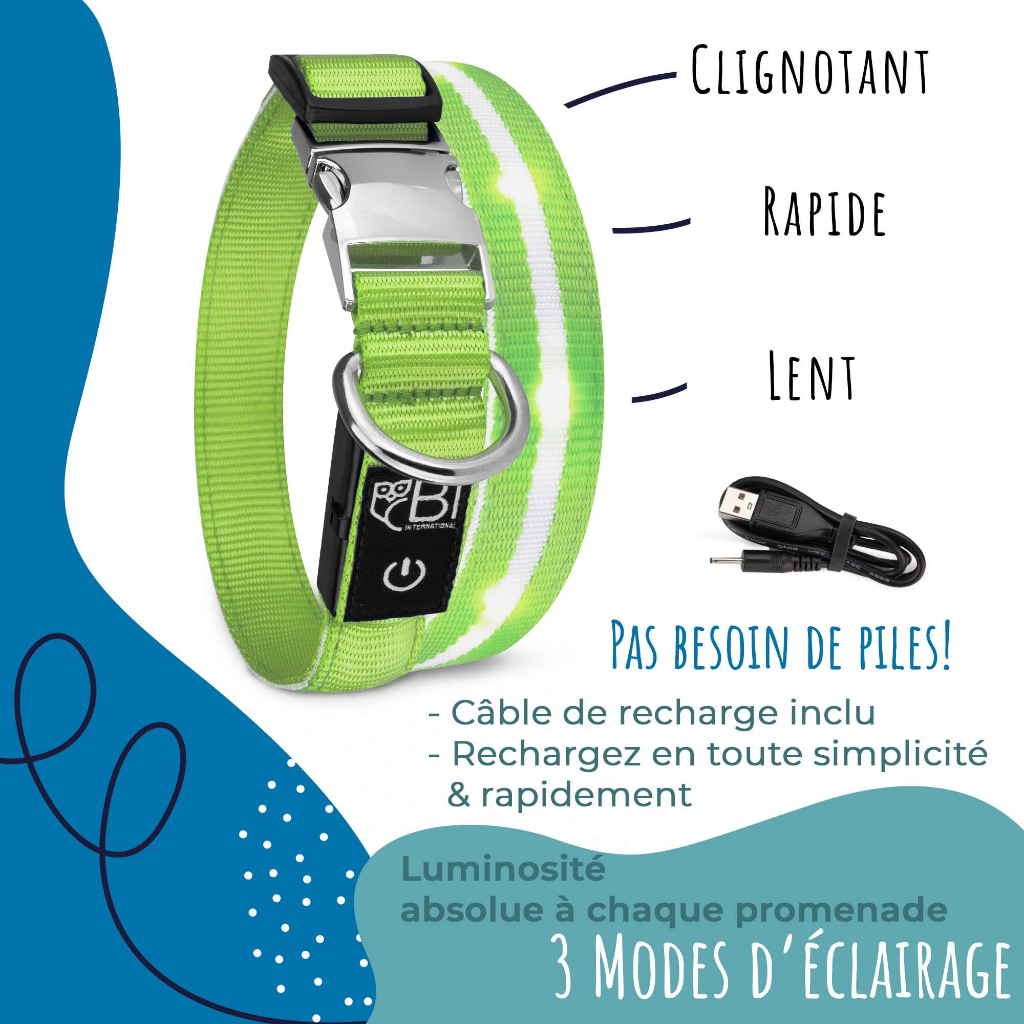 Bi International - Collier et Laisse Lumineux pour Chien - Rechargeable par USB - Haute Qualité, Stabilité & Sécurité (vert, XS) -  BI International - Imagen 6