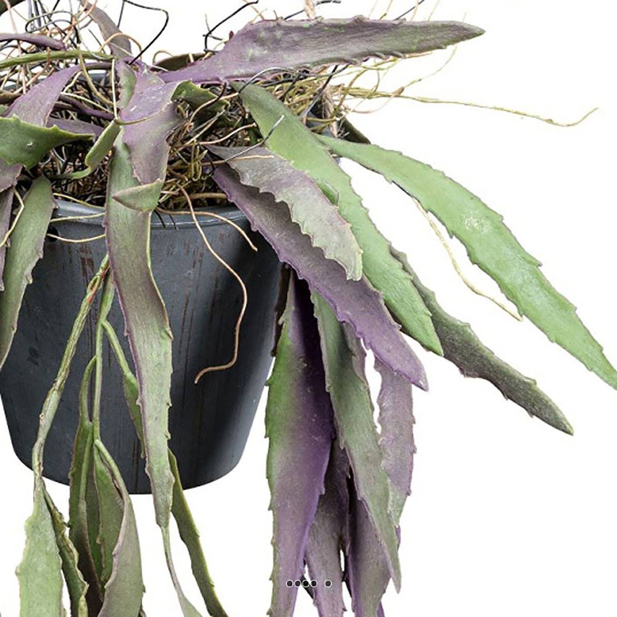 Artificielles - Rhipsalis fausse plante tombante en pot L 40 cm vert-rose - Imagen 3