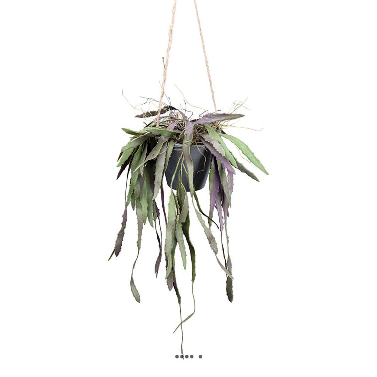 Artificielles - Rhipsalis fausse plante tombante en pot L 40 cm vert-rose - Imagen 2