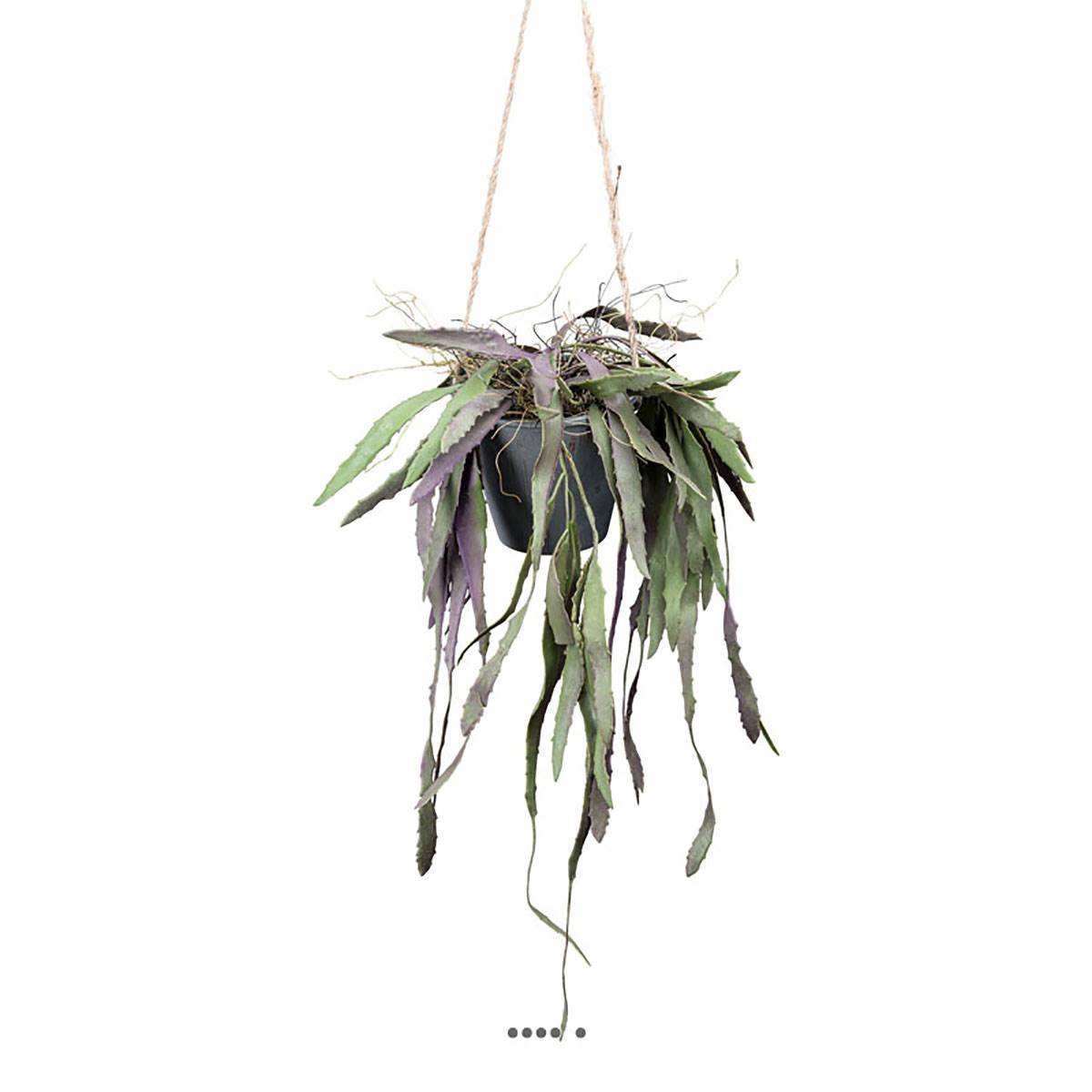 Artificielles - Rhipsalis fausse plante tombante en pot L 40 cm vert-rose - Imagen 1
