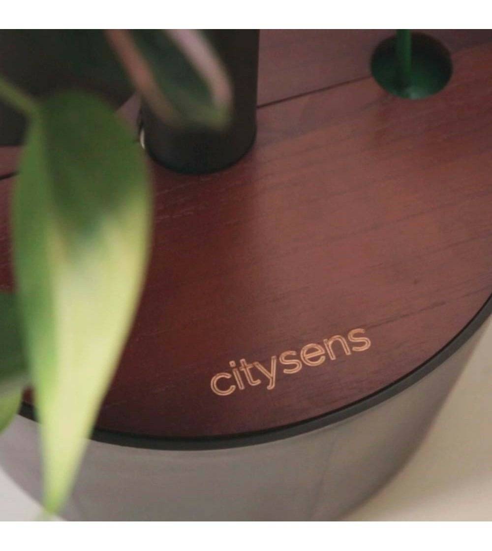Jardinière verticale CitySens noire et bois teck avec 4 pots et arrosage automatique digital - Image 3