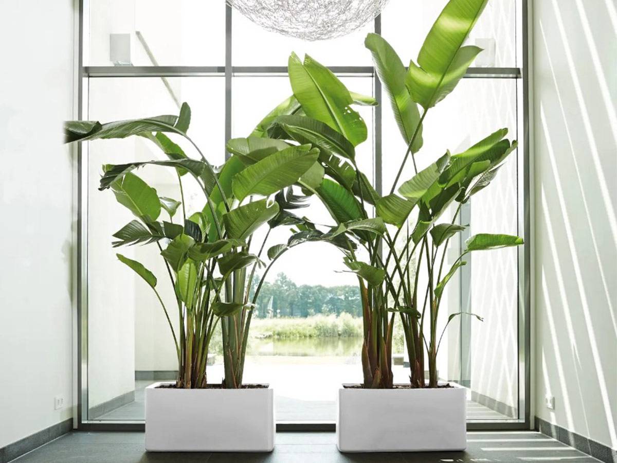 Pot de fleurs Pure Soft Brick Long 80 x 39 x H.39 cm - Blanc - Imagen 3