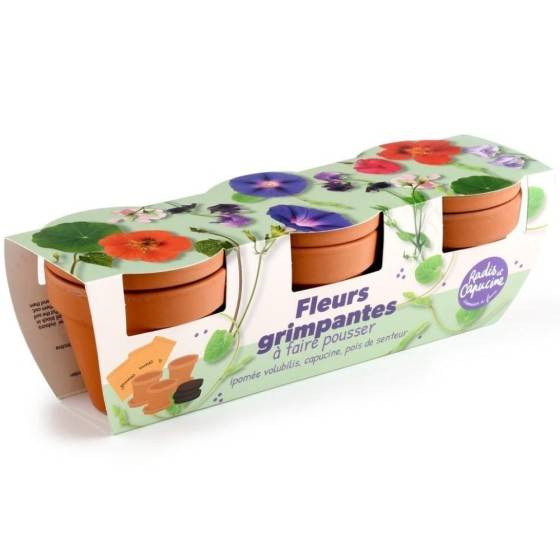 Radis et Capucine - Radis et Capucine - Kit jardinage fleurs grimpants - Trio - Image 1