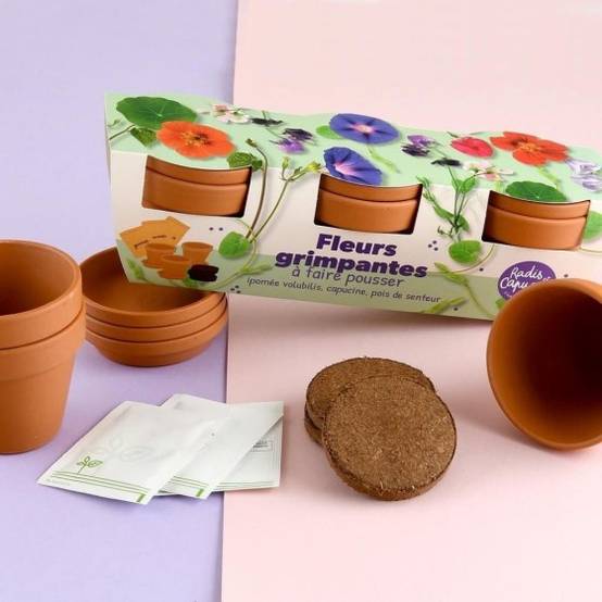 Radis et Capucine - Radis et Capucine - Kit jardinage fleurs grimpants - Trio - Image 2