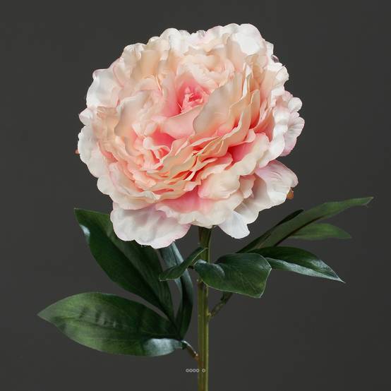 Pivoine artificielle Rose tendre H 63 cm très belle tête - couleur: Rose pâle - Image 3