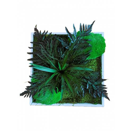 Tableau végétal stabilisé Kaiga- tableau végétal - décoration d'intérieur - 35*35 cm - Image 1