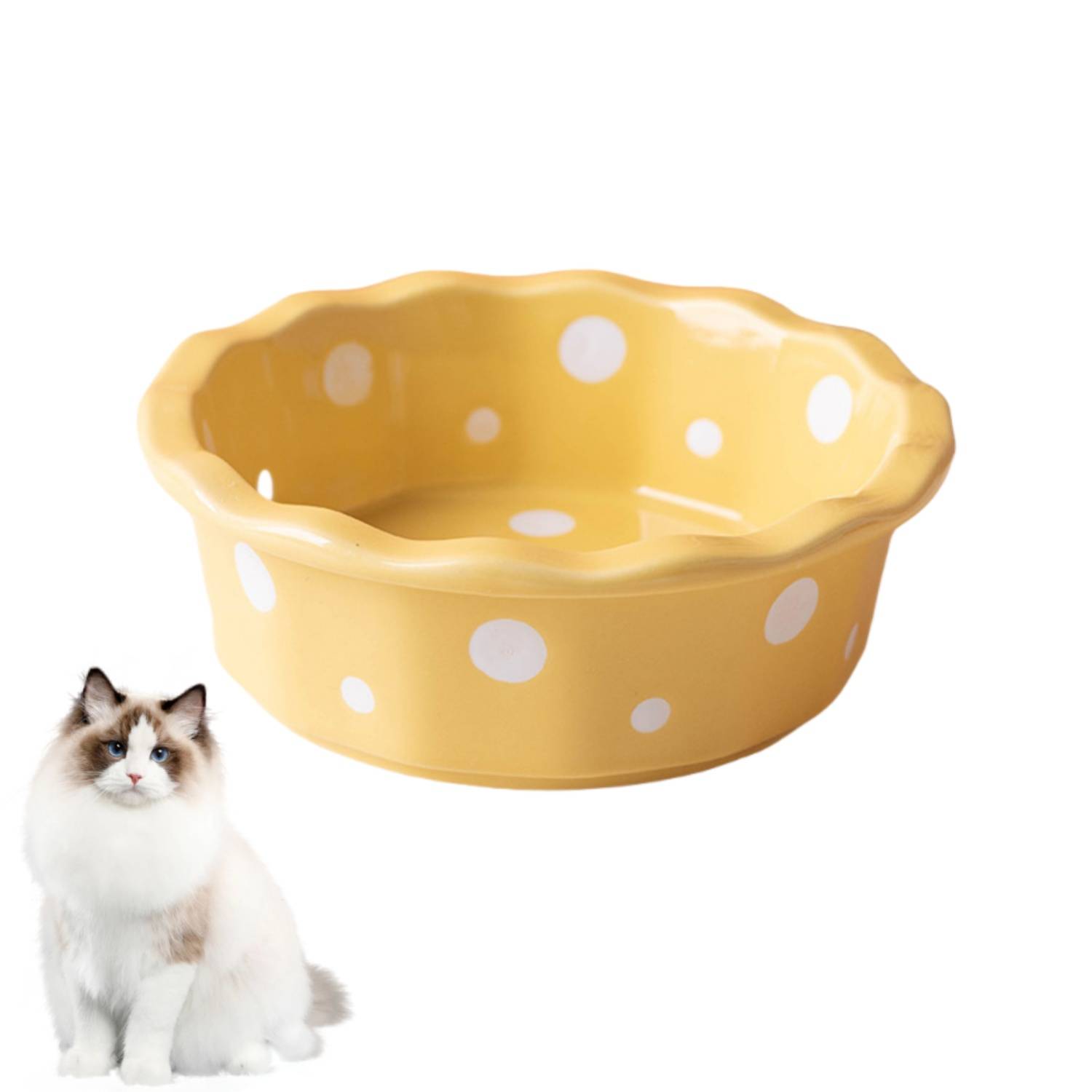 Bol Céramique pour Chat - Anti-Bascule & Hygiénique DtopbuyAge - Image 1