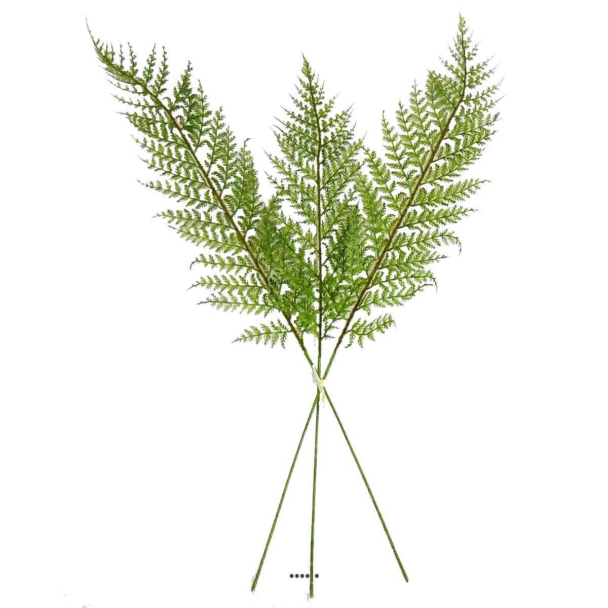 Artificielles - Feuilles X3 de Fougère des forêts artificielles H 64 cm superbe - BEST