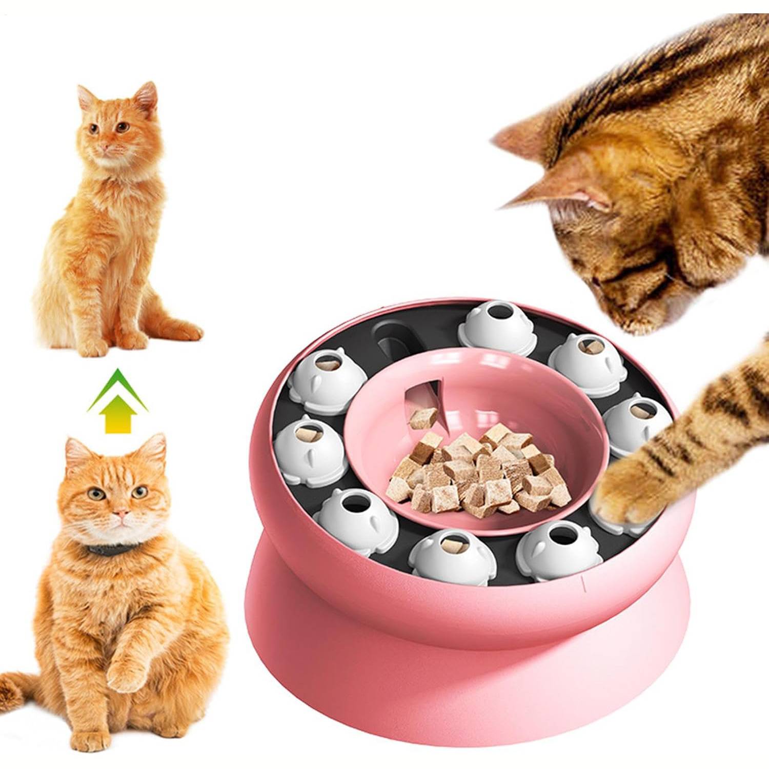 DtopbuyAge - Gamelle pour chat - Surélevée avec support, jouet puzzle interactif - Image 1